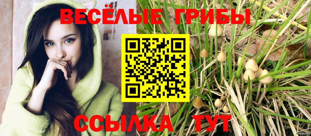 Псилоцибиновые грибы ЛСД  Псилоцибиновые грибы Psilocybine cubensis  Благодарный  Вход с VPN 