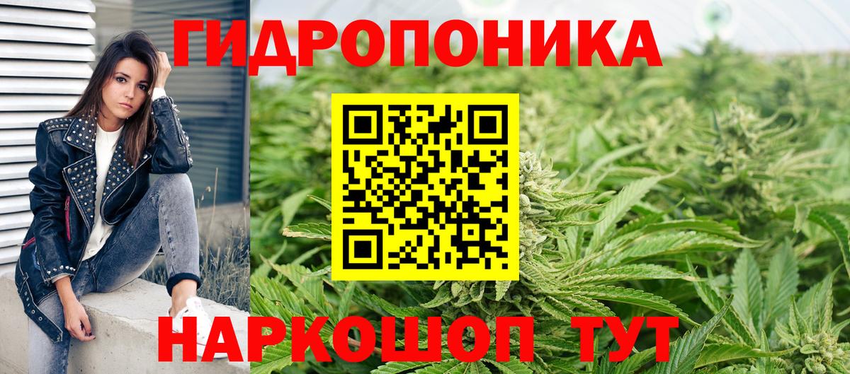 Марихуана конопля  Вход с VPN  Канабис LSD WEED  Благодарный 